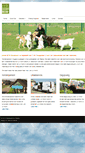 Mobile Screenshot of dierenpensionraalte.nl